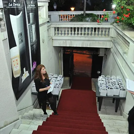 Jelena Pensiune Belgrad